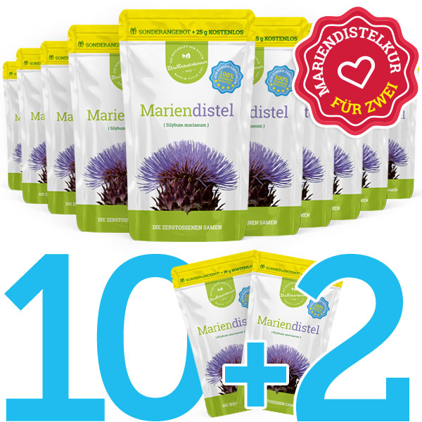 Die zerstoßene Mariendistel Entgiftungskur 10+2 kostenlos