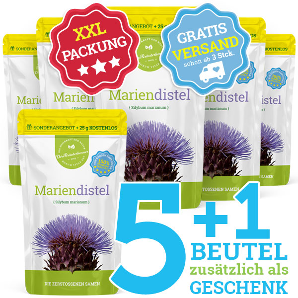 Die zerstoßene Mariendistel Entgiftungskur 5+1 kostenlos