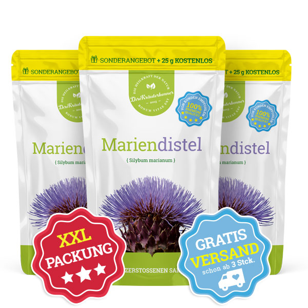 Die zerstoßene Mariendistel