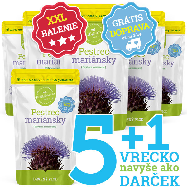 Sameljkani čičak – tretman čičkom 5+1